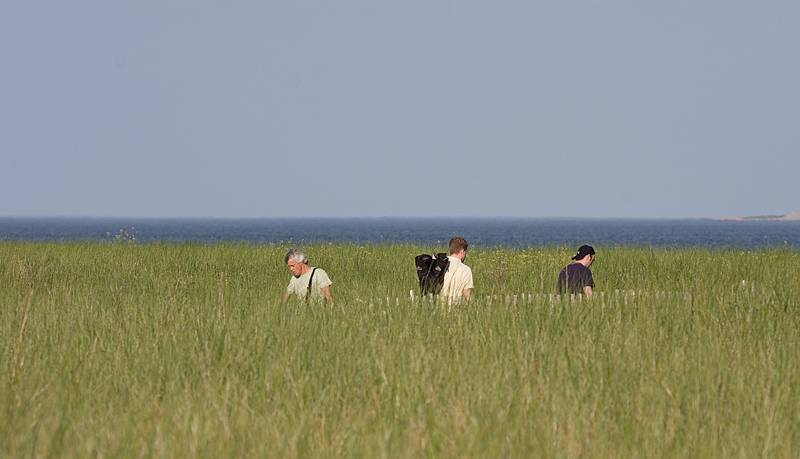 June 29, 2010 - Sandy Point State Reservation, Plum Island, Massachusetts.