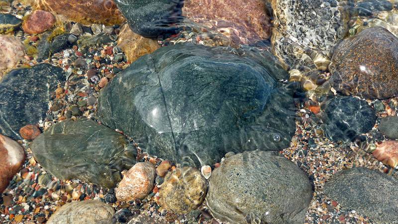 June 14, 2010 - On the shore of Lake Superior at Point Iroquios, Michigan.