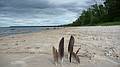 June 14, 2010 - Off Iroquois Rd./West Lake Shore Drive along Lake Superior, Michigan.