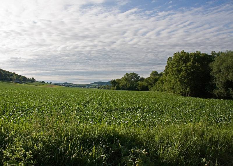 View from the road they live on.<br />June 20, 2010 - At Inara and Gene's in Barre, Wisconsin.