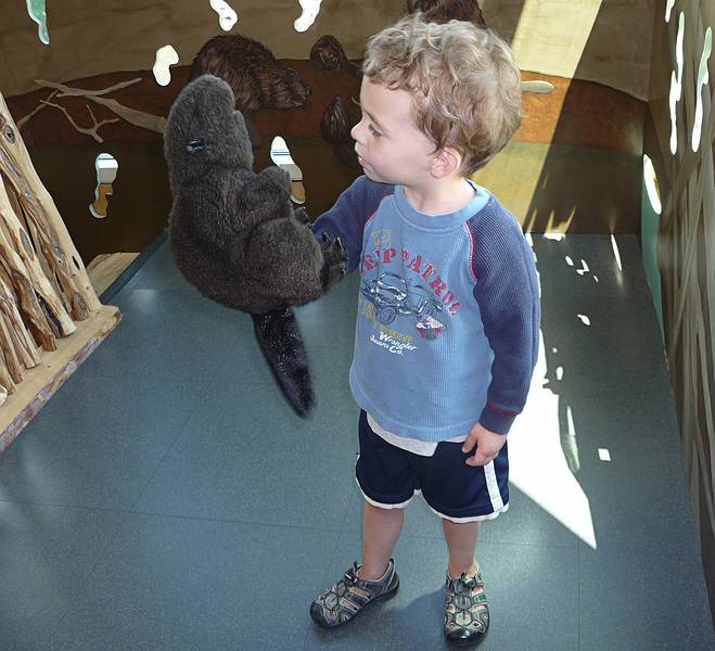 Matthew conversing with a beaver.<br />July 1, 2010 - Childrens' Museum in Dover, New Hamshire.