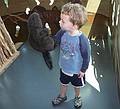 Matthew conversing with a beaver.<br />July 1, 2010 - Childrens' Museum in Dover, New Hamshire.