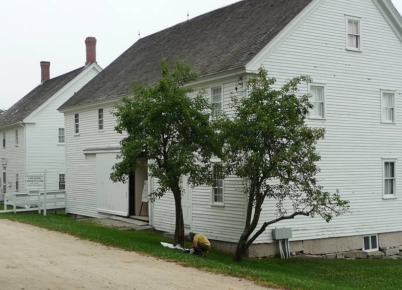 Joyce footprinting one of the surviving pear trees in front of the Spinhouse.<br />July 8, 2010 - Sabbathday Lake Shaker Village, New Gloucester, Maine.