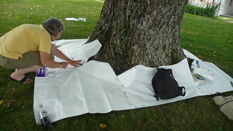 Joyce footprinting a big butternut tree.<br />July 8, 2010 - Sabbathday Lake Shaker Village, New Gloucester, Maine.