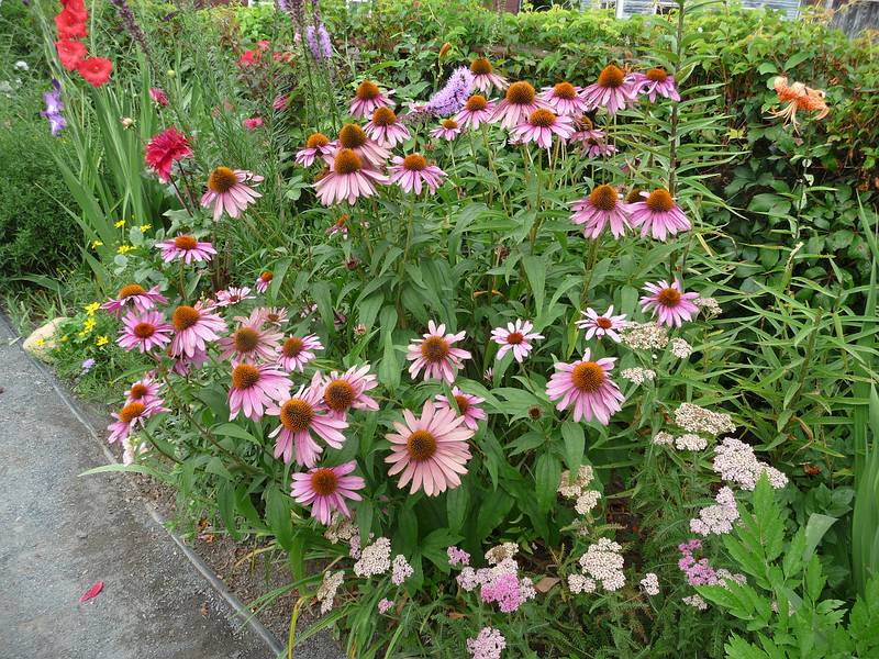 Bridge of Flowers over the Deerfield River.<br />August 3, 2010 - Shelburne Falls, Massachusetts.