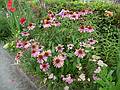 Bridge of Flowers over the Deerfield River.<br />August 3, 2010 - Shelburne Falls, Massachusetts.