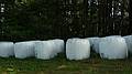 August 18, 2010 - Appleton Farms, Ipswich, Massachusetts.