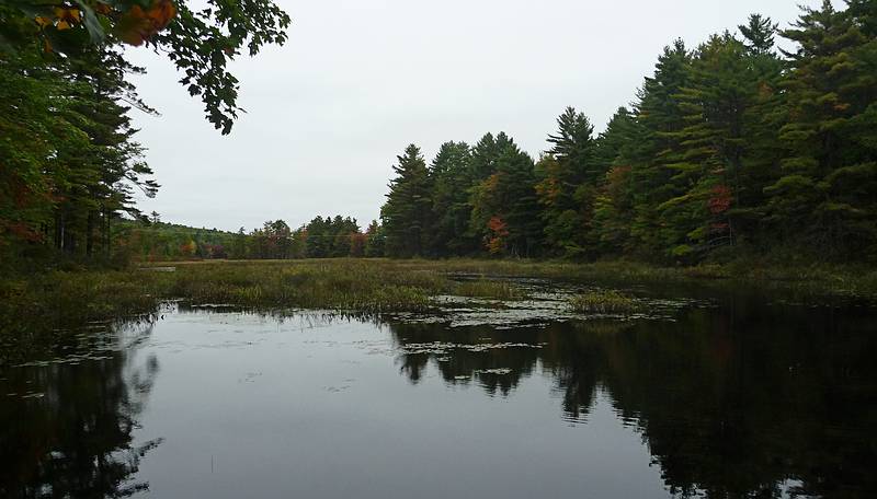 Hike along marsh off Egypt Road.<br />Sept. 25, 2010 - Visiting Bunny and Ross' on Panther Pond in Raymond, Maine.