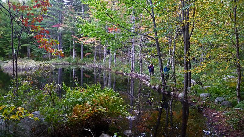 Bunny and Joyce on man made and beaver made dam.<br />Hike along marsh off Egypt Road.<br />Sept. 25, 2010 - Visiting Bunny and Ross' on Panther Pond in Raymond, Maine.