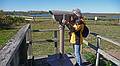 Joyce at Stage Pond observation platform.<br />Oct. 10, 2010 - Parker River National Wildlife Refuge, Plum Island, Massachusetts.