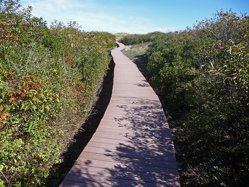 Boardwalk off parking lot #6.<br />Oct. 10, 2010 - Parker River National Wildlife Refuge, Plum Island, Massachusetts.