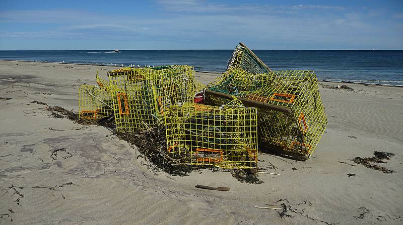 We saw several of these lobster trap remains along the beach.<br />Oct. 10, 2010 - Parker River National Wildlife Refuge, Plum Island, Massachusetts.