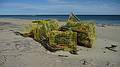 We saw several of these lobster trap remains along the beach.<br />Oct. 10, 2010 - Parker River National Wildlife Refuge, Plum Island, Massachusetts.