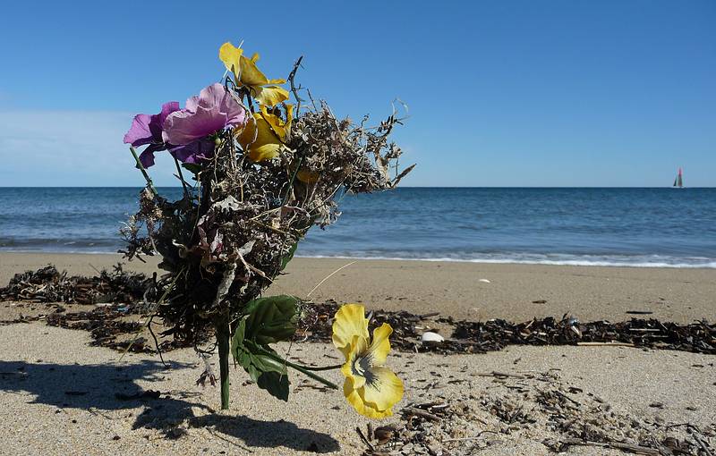 We find the strangest things along the beach.<br />Oct. 10, 2010 - Parker River National Wildlife Refuge, Plum Island, Massachusetts.