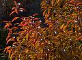 Oct. 18, 2010 - Sandy Point State Reservation, Plum Island, Massachusetts.