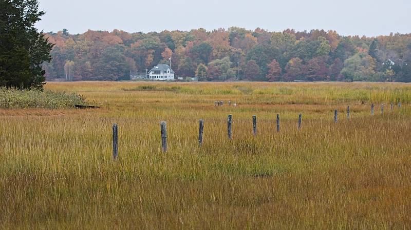 Salt marsh along the Little River.<br />Oct. 25, 2010 - Old Town Hill, Newbury, Massachusetts.