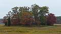 An island (at very high tide) in the salt marsh.<br />Oct. 25, 2010 - Old Town Hill, Newbury, Massachusetts.