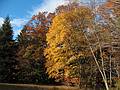 Nov. 1, 2010 - Maudslay State Park, Newburyport, Massachusetts.