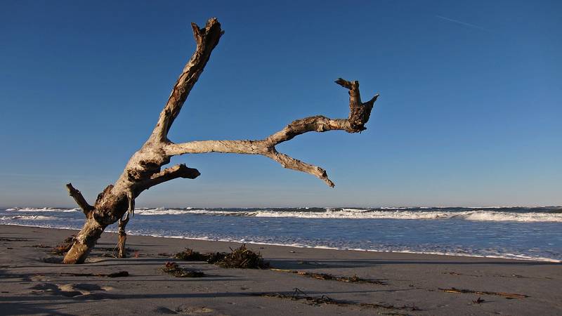 Nov. 12, 2010 - Cranes Beach, Ipswich, Massachusetts.