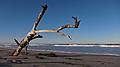 Nov. 12, 2010 - Cranes Beach, Ipswich, Massachusetts.