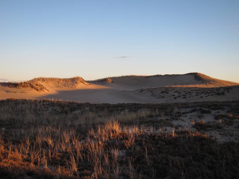 Nov. 28, 2010 - Parker River National Wildlife Refuge, Plum Island, Massachusetts.