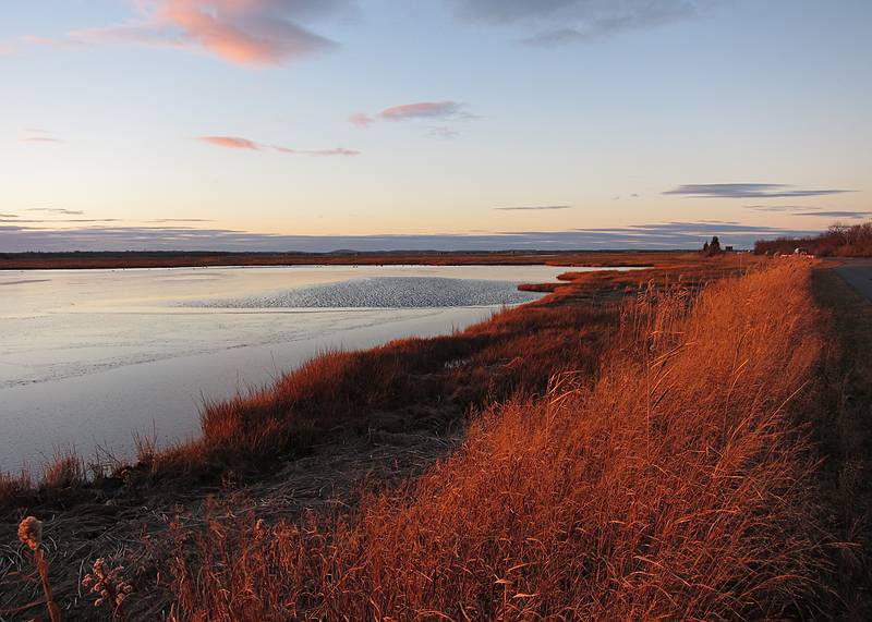 Nov. 28, 2010 - Parker River National Wildlife Refuge, Plum Island, Massachusetts.