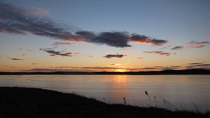 Nov. 28, 2010 - Parker River National Wildlife Refuge, Plum Island, Massachusetts.