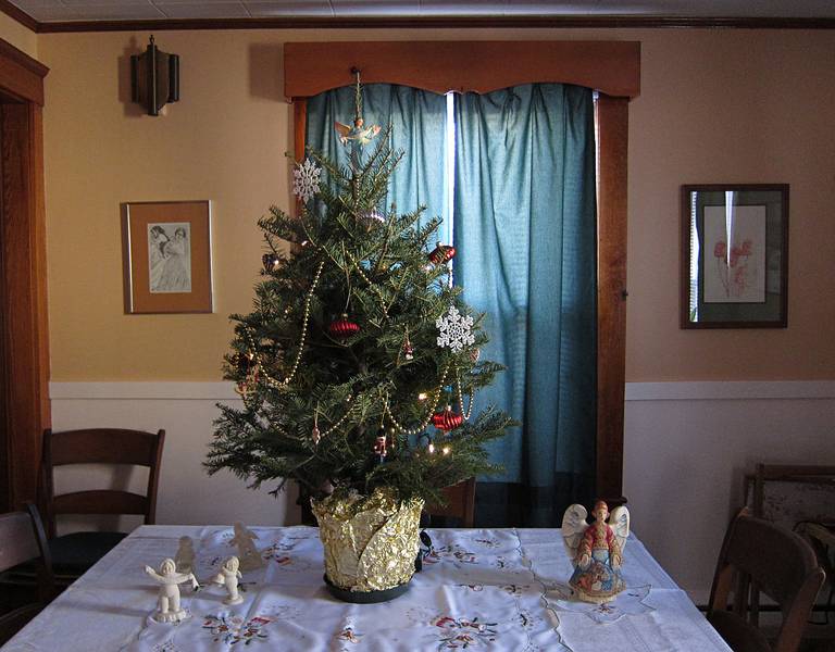 Joyce set up this Christmas tree for Marie.<br />Dec. 2, 2010 - Lawrence, Massachusetts.