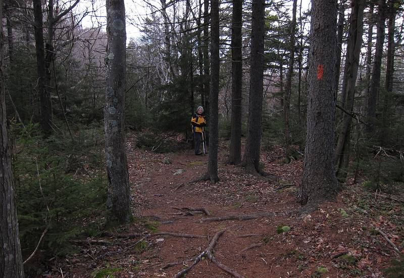 Joyce.<br />Hiking along Newbury Trail to Mt. Sunapee.<br />Dec. 4, 2010 - Sunapee State Park, New Hampshire.