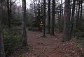 Joyce.<br />Hiking along Newbury Trail to Mt. Sunapee.<br />Dec. 4, 2010 - Sunapee State Park, New Hampshire.