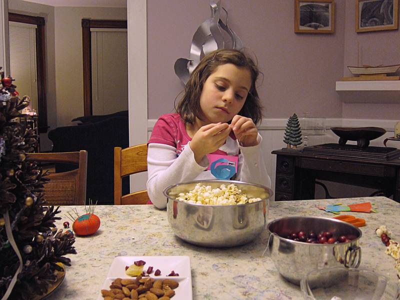 Miranda stringing popcorn and cranberries.<br />Christmas tree decorating party.<br />Dec. 18, 2010 - Merrimac, Massachusetts.