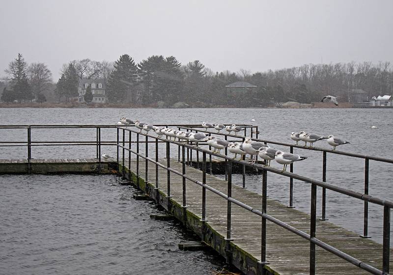 Dec. 22, 2010 - Newburyport, Massachusetts.