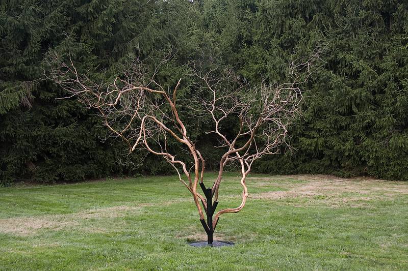 Joyce Audy Zarins: 'Kalmia'.<br />'Trace', Outdoor Sculpture at Maudslay.<br />Sept. 12, 2010 - Maudslay State Park, Newburyport, Massachusetts.