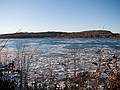 Joyce and I went for a walk in the park and we saw a bald eagle flying high overhead.<br />It has been cold enough for the last few day for ice to form on the Merrimack River.<br />Jan. 10, 2011 - Maudslay State Park, Newburyport, Massachusetts.