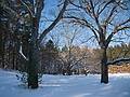 Jan. 16, 2011 - Maudslay State Park, Newburyport, Massachusetts.