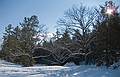 Jan. 16, 2011 - Maudslay State Park, Newburyport, Massachusetts.