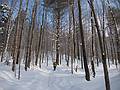 Joyce on snowshoe trail to the chapel.<br />Jan. 20, 2011 - At the Trapp Family Lodge in Stowe, Vermont.