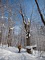 Joyce on snowshoe trail to the chapel.<br />Jan. 20, 2011 - At the Trapp Family Lodge in Stowe, Vermont.