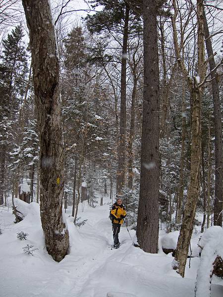 Joyce on the Kettles Path.<br />Hike from the Depot to the Scaur via Livermore, Kettles, and Scaur trails.<br />Jan. 30, 2011 - Waterville Valley, New Hampshire.