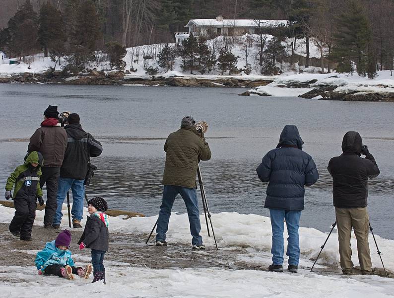 Looking at eagles. There were six of them in the area at the time.<br />The local eagle festival.<br />Feb. 12, 2011 - Deer Island, Amesbury, Massachusetts.