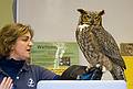 Martha talking about the horned owl.<br />Feb. 12, 2011 - Parker River National Wildlife Refuge Headquarters in Newburyport, Massachusetts.