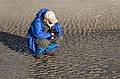 Egils trying to determine if the tide is coming in or going out.<br />Photo by John G.<br />Feb. 17, 2011 - Parker River National Wildlife Refuge, Plum Island, Massachusetts.