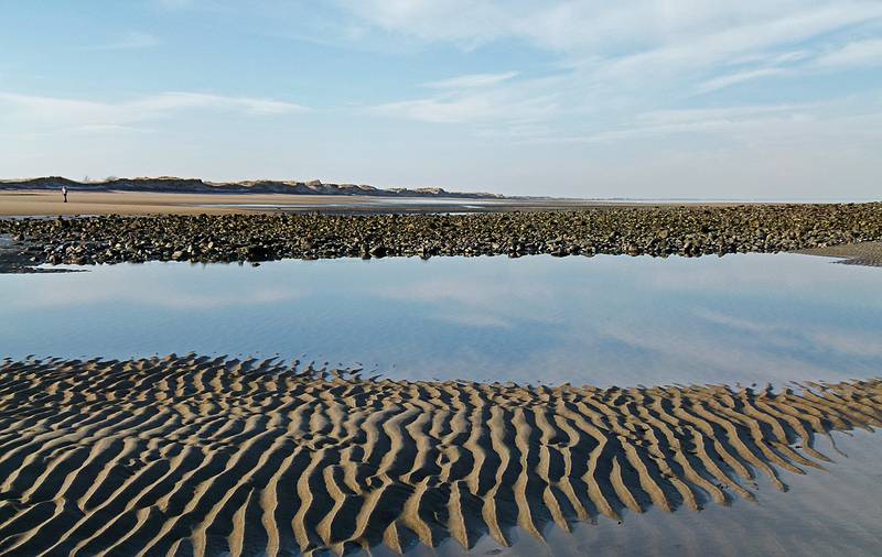 Feb. 17, 2011 - Parker River National Wildlife Refuge, Plum Island, Massachusetts.