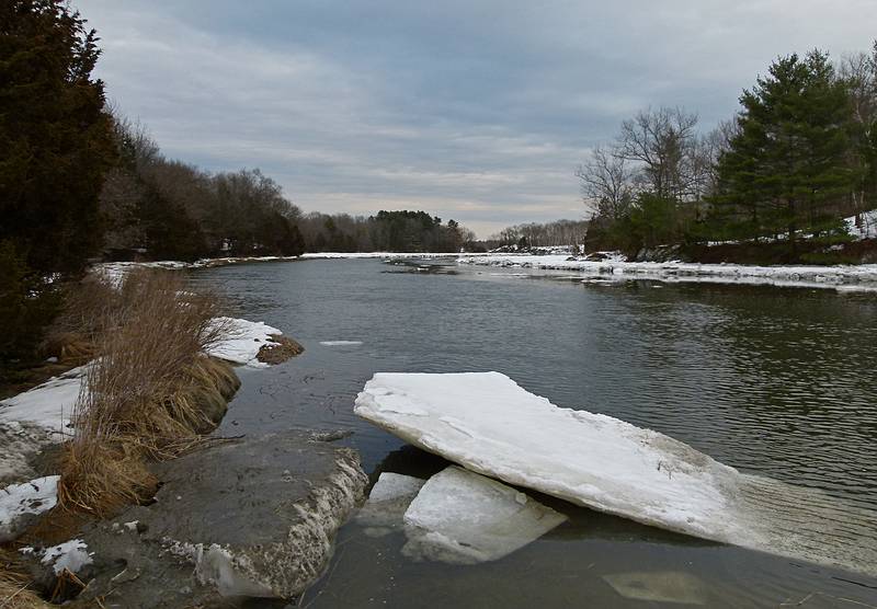 Along the shore of the Little River.<br />Feb. 24, 2011 - Old Town Hill (Trustees of Reservations), Newbury, Massachusetts.