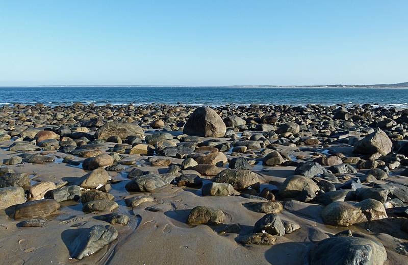 The rock among rocks.<br />March 5, 2011 - Sandy Point State Reservation, Plum Island, Massachusetts.