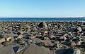 The rock among rocks.<br />March 5, 2011 - Sandy Point State Reservation, Plum Island, Massachusetts.