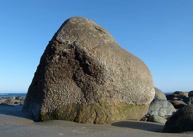 The rock.<br />March 5, 2011 - Sandy Point State Reservation, Plum Island, Massachusetts.