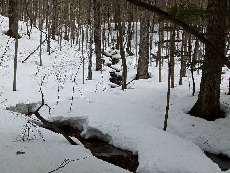 Along the Brown Ash Swamp Bike Trail.<br />March 13, 2011 - Waterville Valley, New Hampshire.