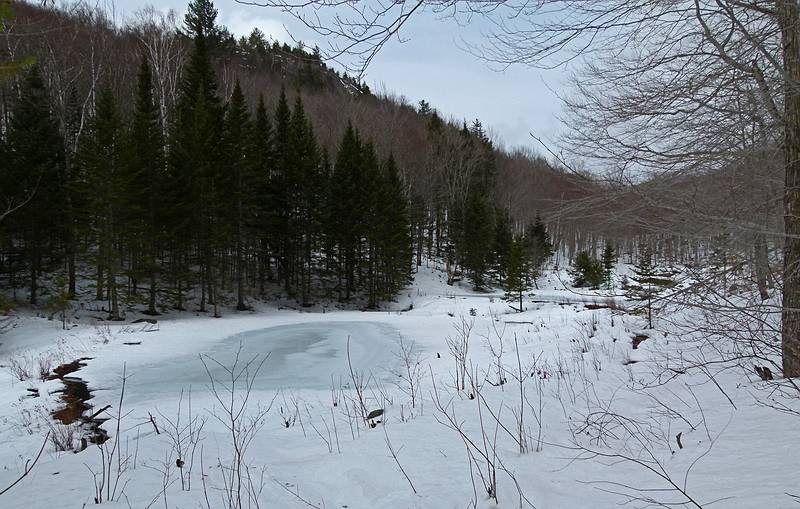 A series of beaver ponds along the Brown Ash Swamp Bike Trail.<br />March 13, 2011 - Waterville Valley, New Hampshire.