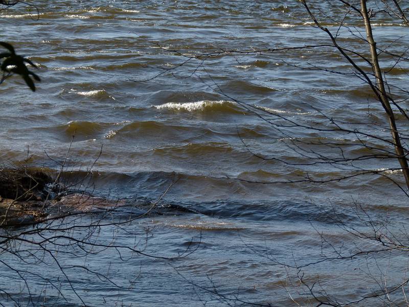 The wind was strong enough to churn up some waves on the Merrimack River.<br />March 18, 2011 - Maudslay State Park, Newburyport, Massachusetts.